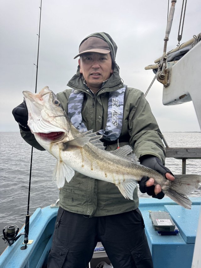 シーバス(スズキ)