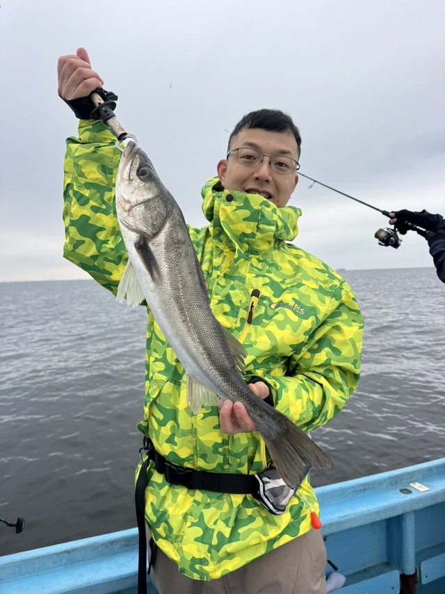 シーバス(スズキ)