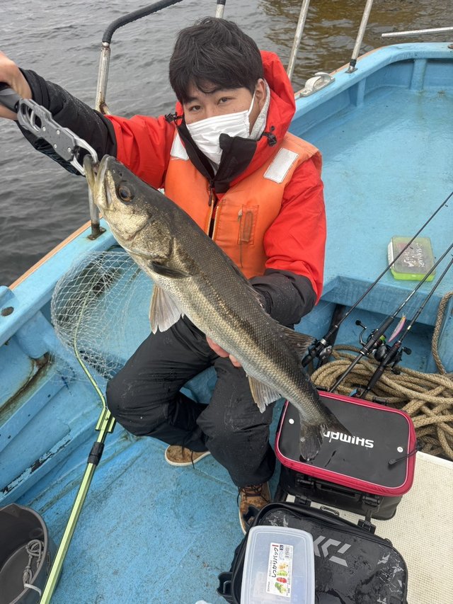 シーバス(スズキ)