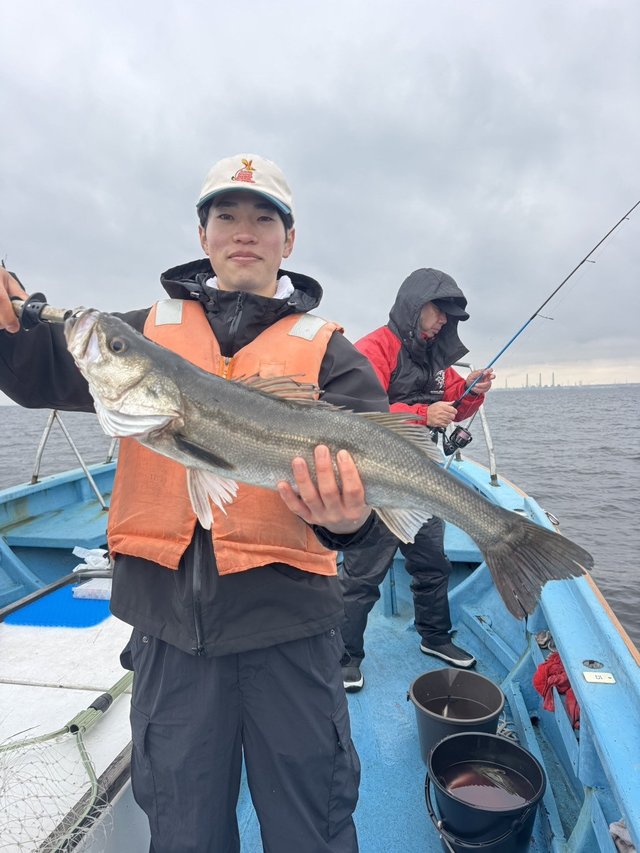 シーバス(スズキ)