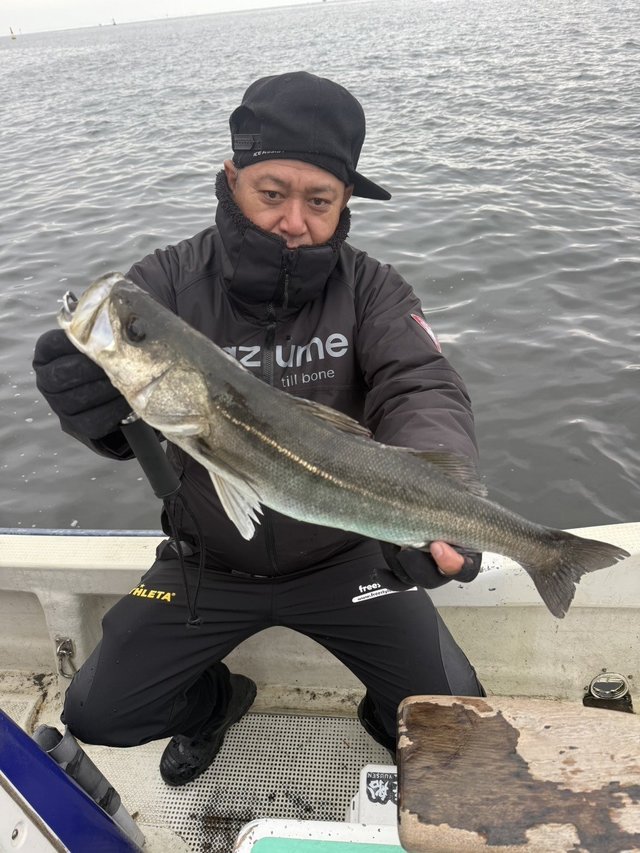 シーバス(スズキ)