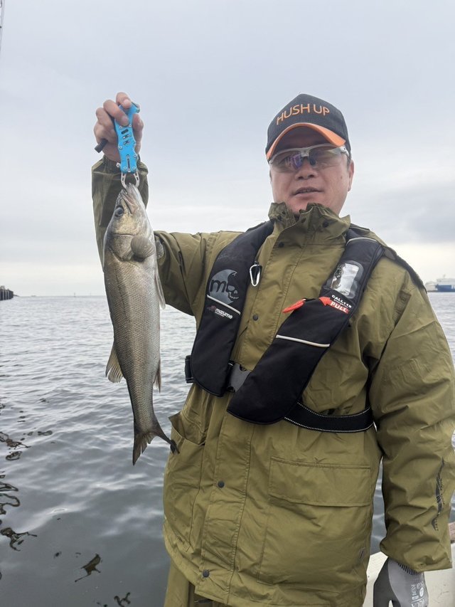 シーバス(スズキ)