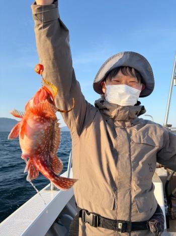 ガシラ(カサゴ)