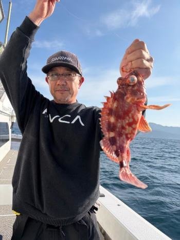 ガシラ(カサゴ)