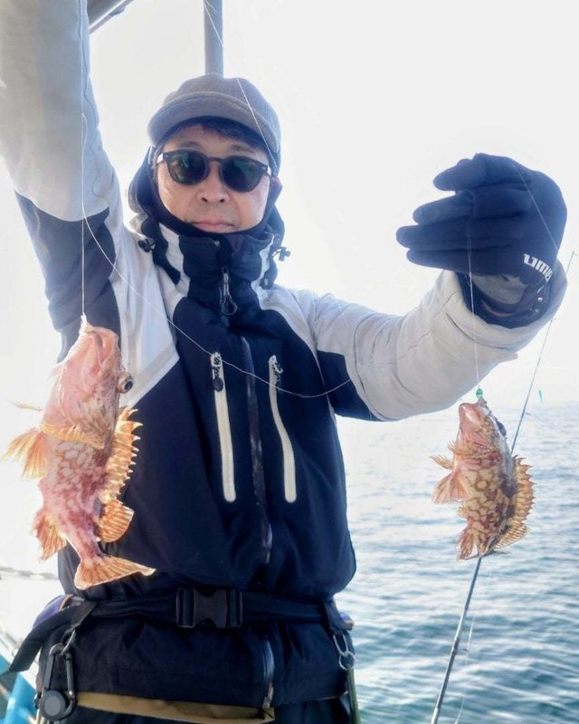 ガシラ(カサゴ)