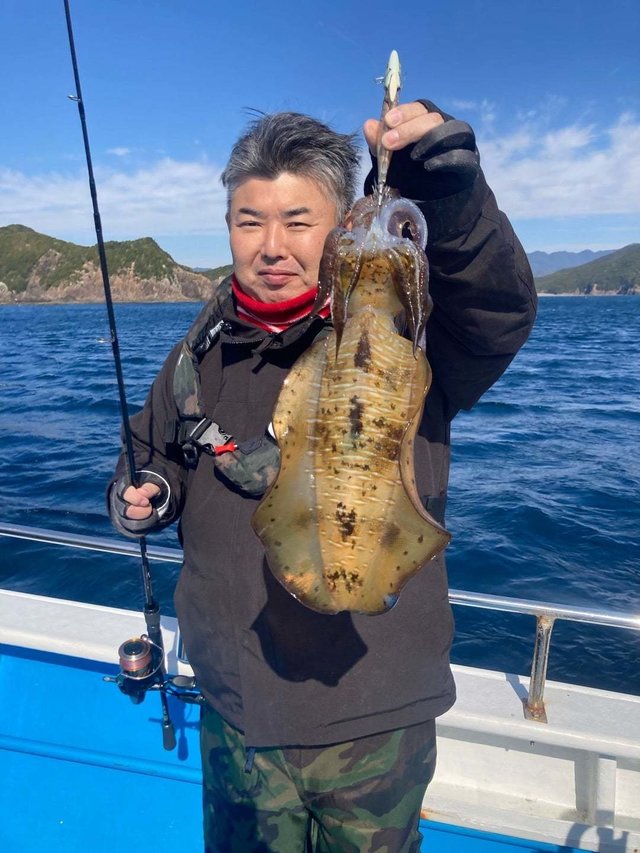 イカ(アオリイカ)