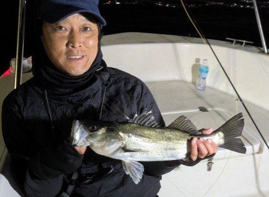 シーバス(スズキ)