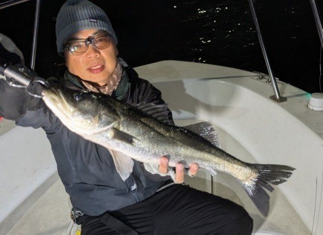 シーバス(スズキ)