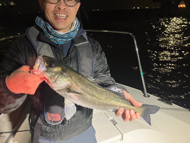 シーバス(スズキ)