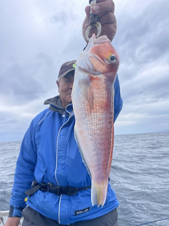 アマダイ(アカアマダイ)