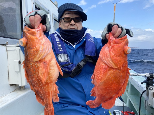 カンコ(ウッカリカサゴ)