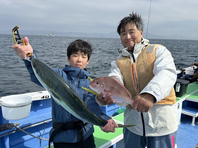 マダイ・ワラサ(ブリ)