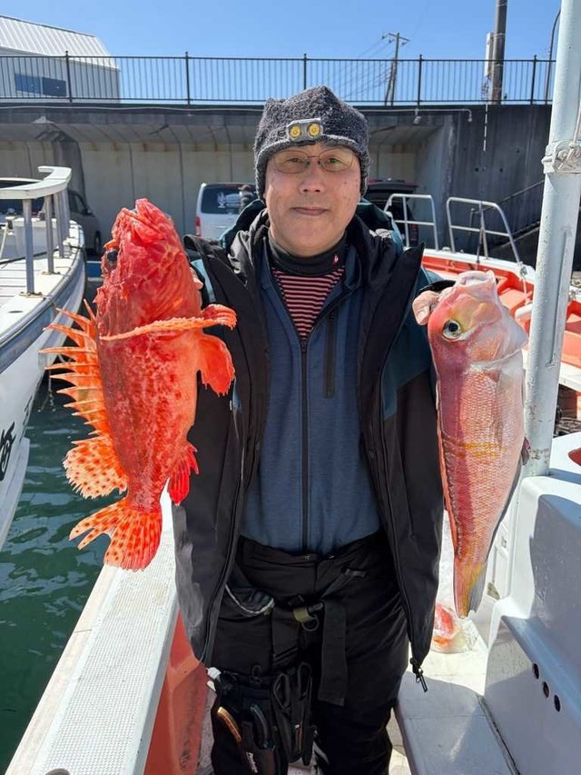 アマダイ(アカアマダイ)・オニカサゴ