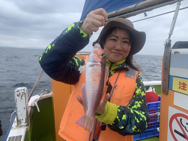 アマダイ(アカアマダイ)