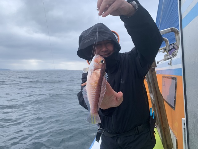 アマダイ(アカアマダイ)