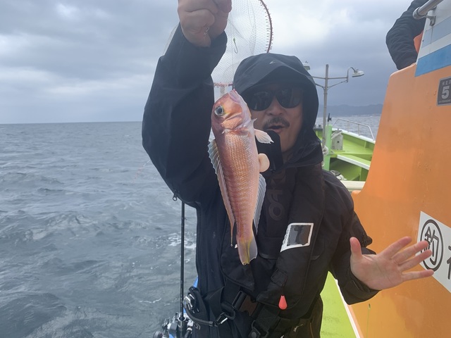 アマダイ(アカアマダイ)