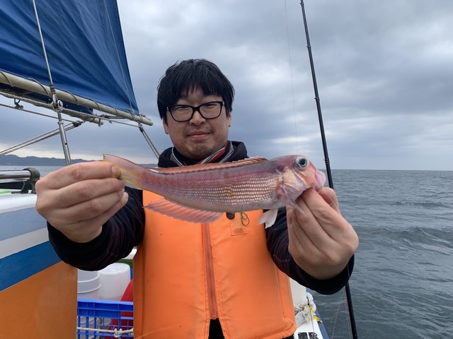 アマダイ(アカアマダイ)