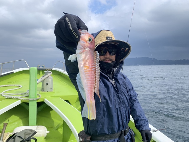 アマダイ(アカアマダイ)