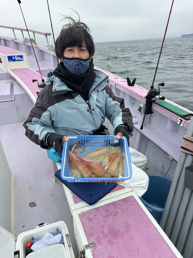 マルイカ(ケンサキイカ)