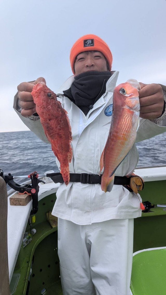 アマダイ(アカアマダイ)