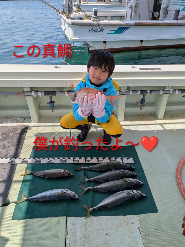 マダイ・マアジ・マサバ