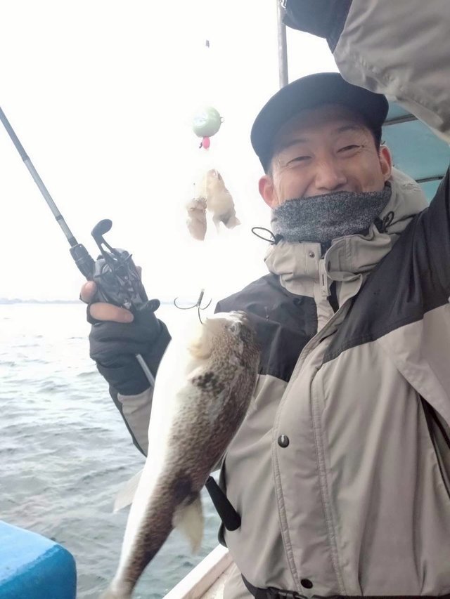 ショウサイフグ