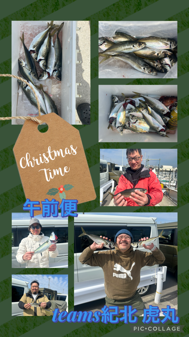 アジ(マアジ)・マサバ