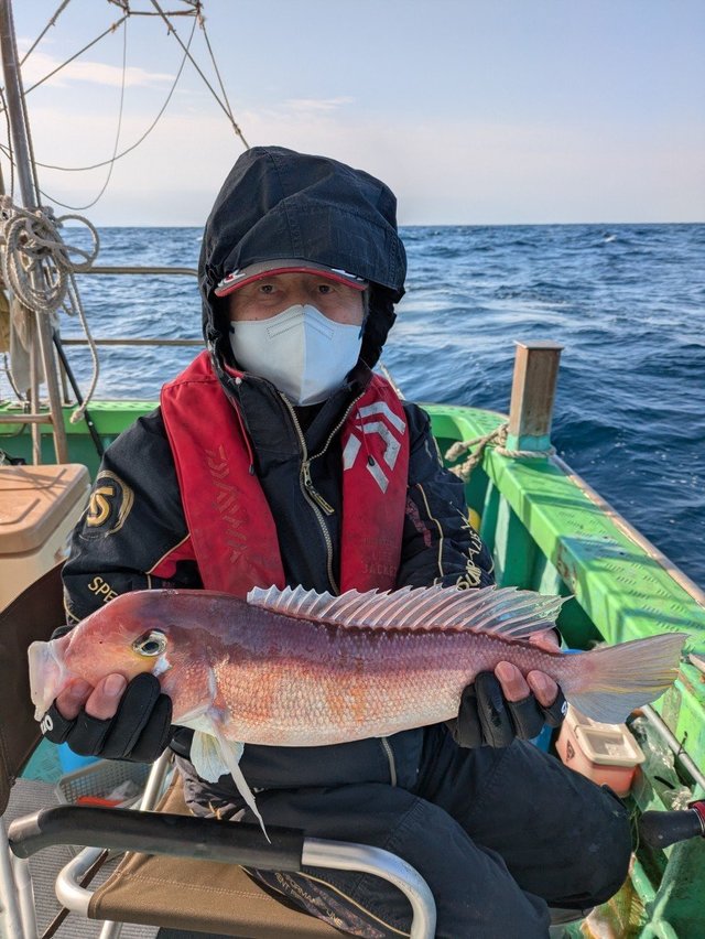 アマダイ(アカアマダイ)