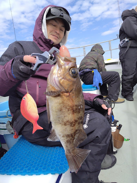 クロメバル(メバル)