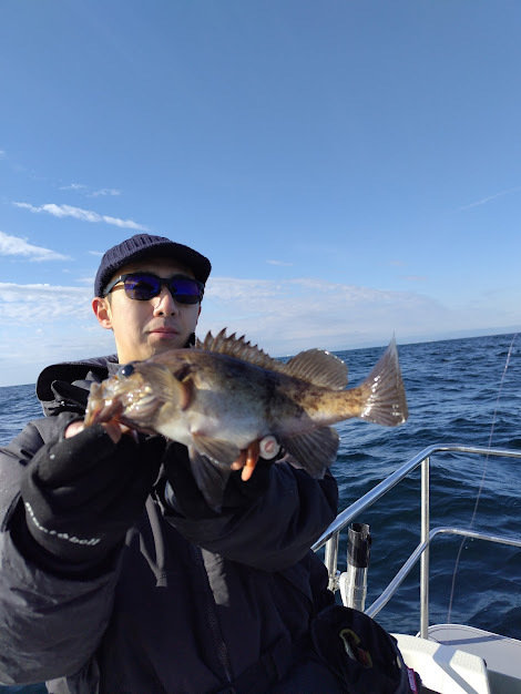 マゾイ(キツネメバル)