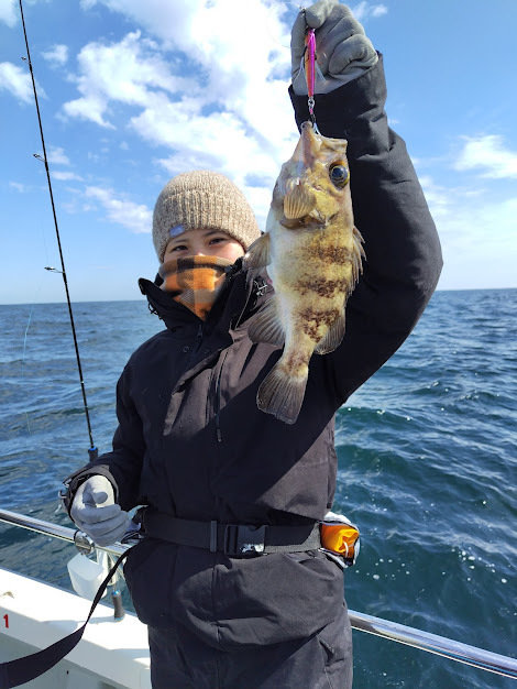 クロメバル(メバル)