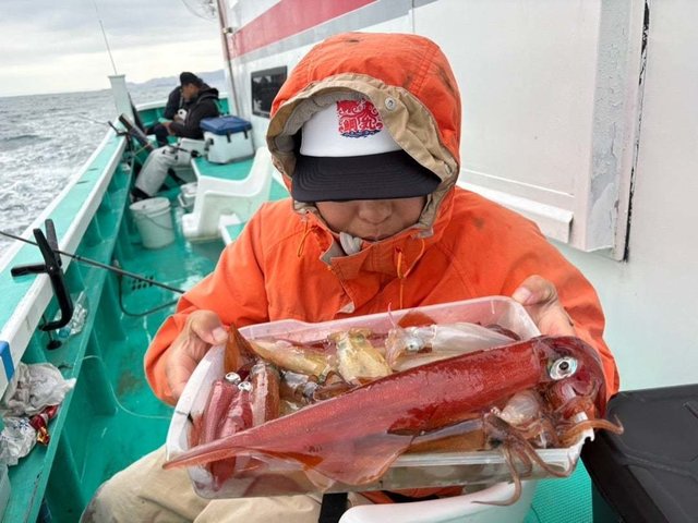 マルイカ(ケンサキイカ)