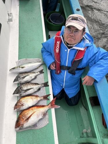 マダイ・クロダイ・イナダ(ブリ)