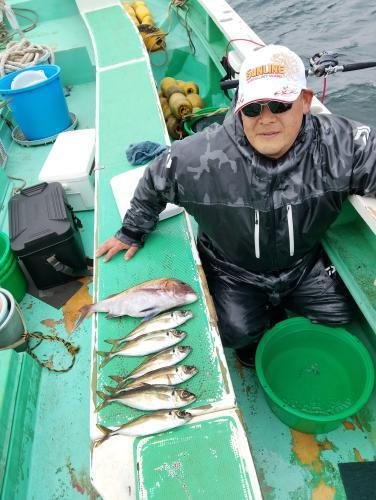 マダイ・アジ(マアジ)