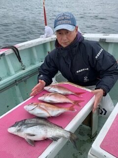 マダイ・クロダイ