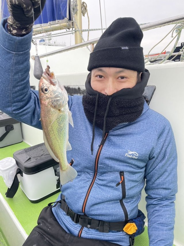 イシモチ(シログチ)