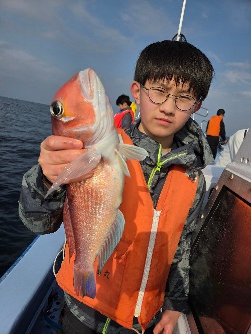 アマダイ(アカアマダイ)