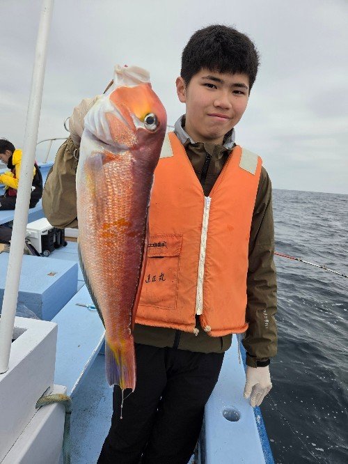 アマダイ(アカアマダイ)