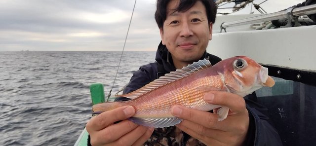 アマダイ(アカアマダイ)