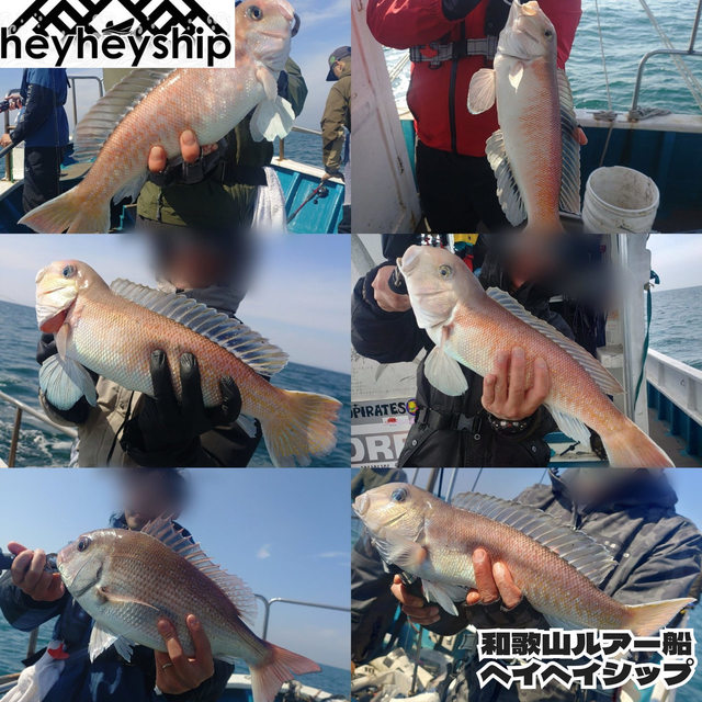 マダイ・シロアマダイ