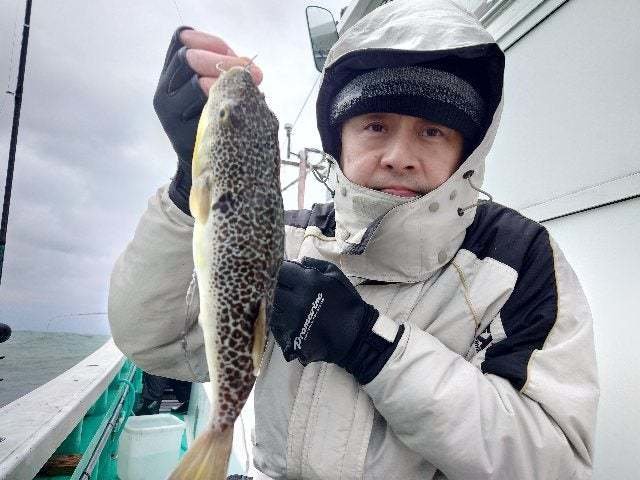 ショウサイフグ