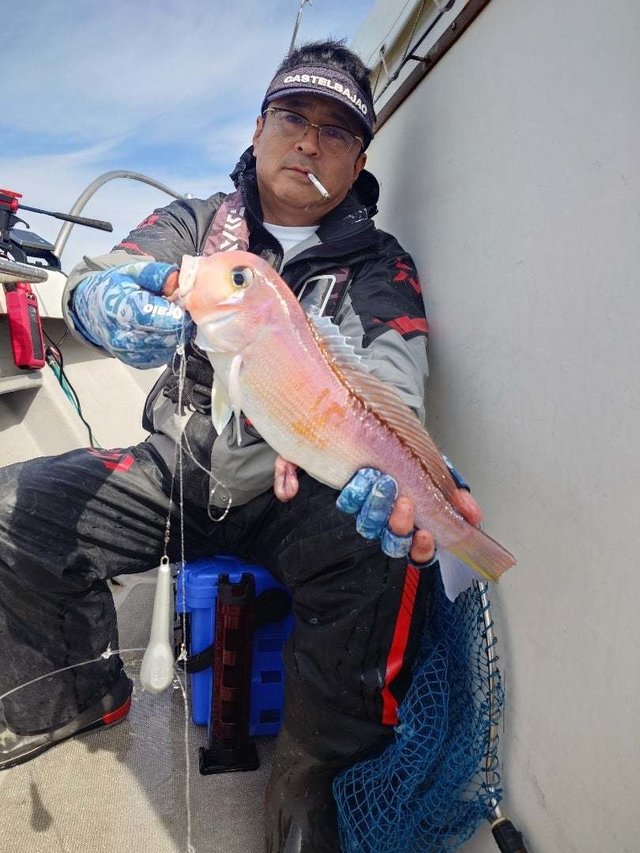 アマダイ(アカアマダイ)