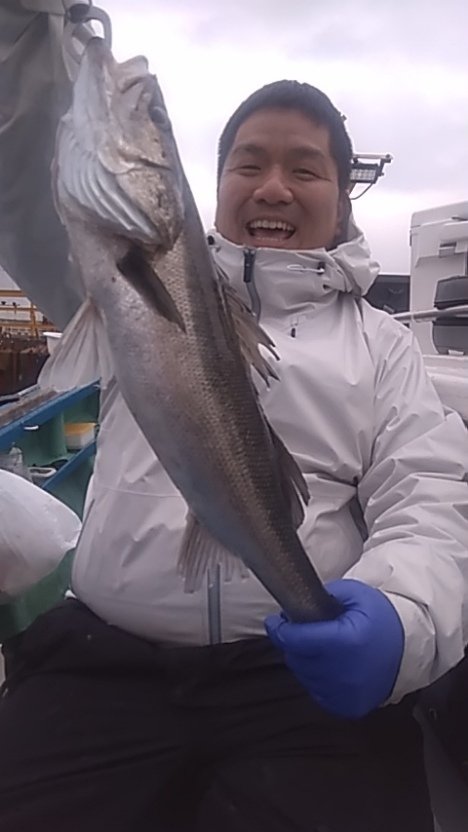 シーバス(スズキ)