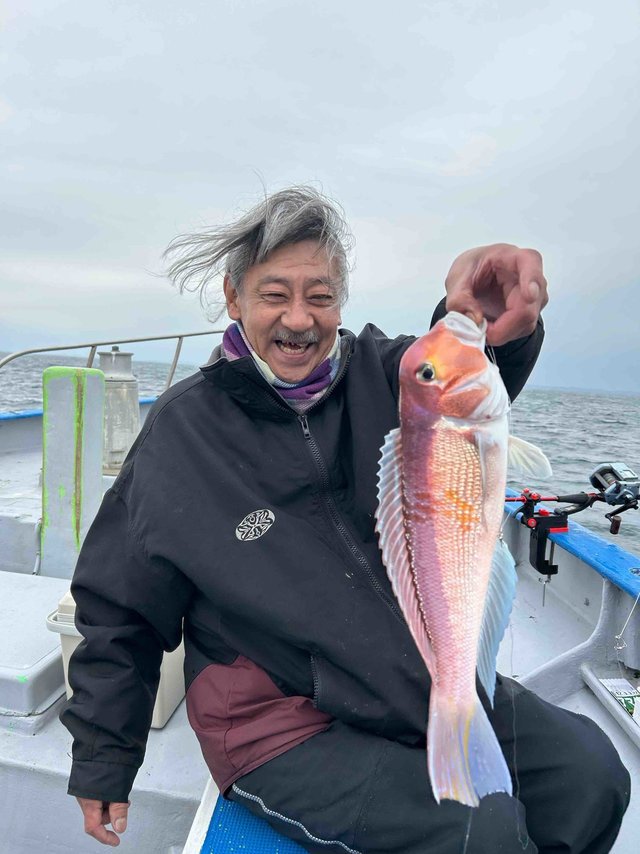 アマダイ(アカアマダイ)