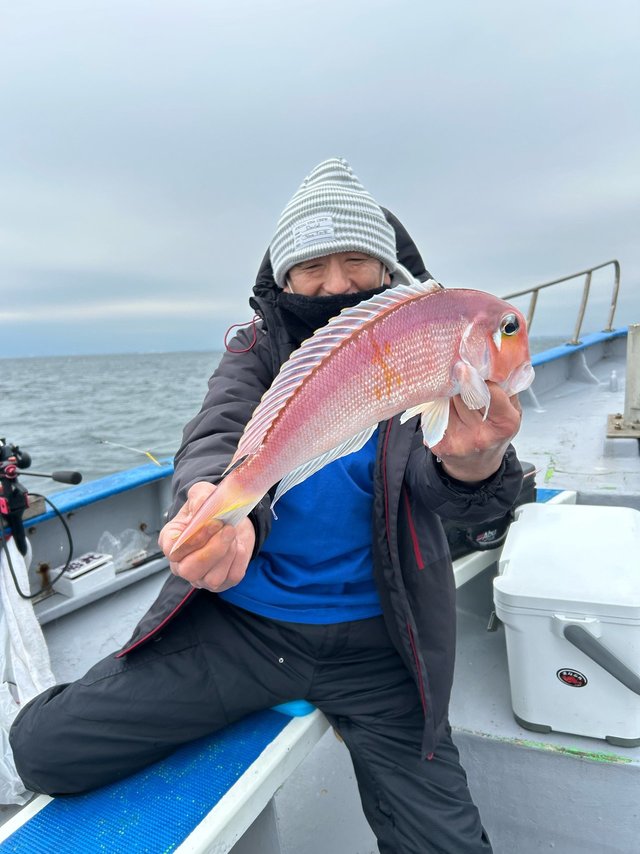 アマダイ(アカアマダイ)