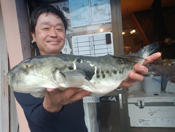 フグ(トラフグ)