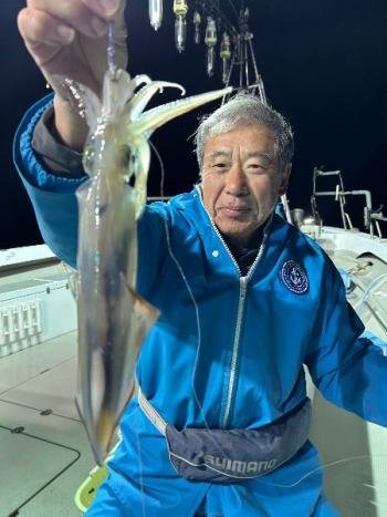 マイカ(ケンサキイカ)