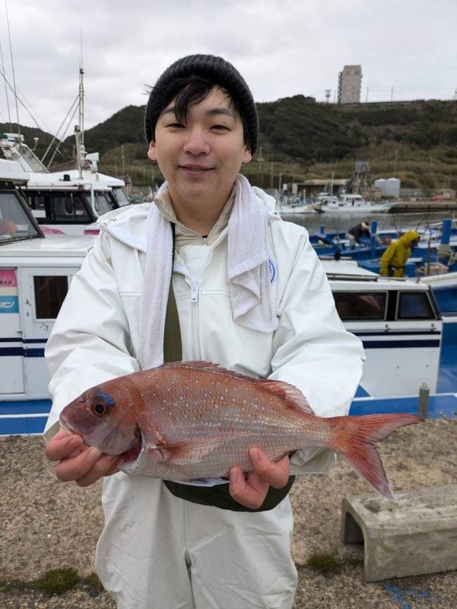 ハナダイ(チダイ)