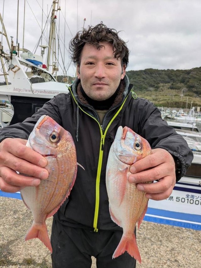 ハナダイ(チダイ)