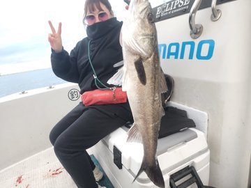 シーバス(スズキ)